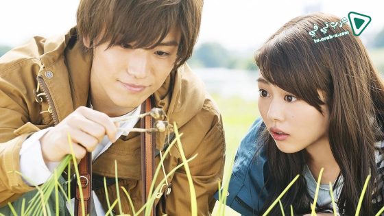 فيلم Evergreen Love 2016 مترجم