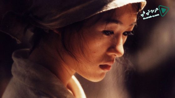 فيلم Purple Butterfly 2003 مترجم