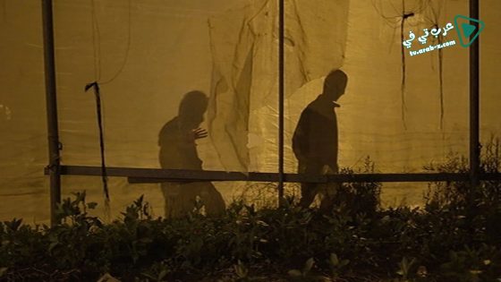 فيلم Strawberry 2016 مترجم