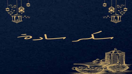 سكر سادة الحلقة 13